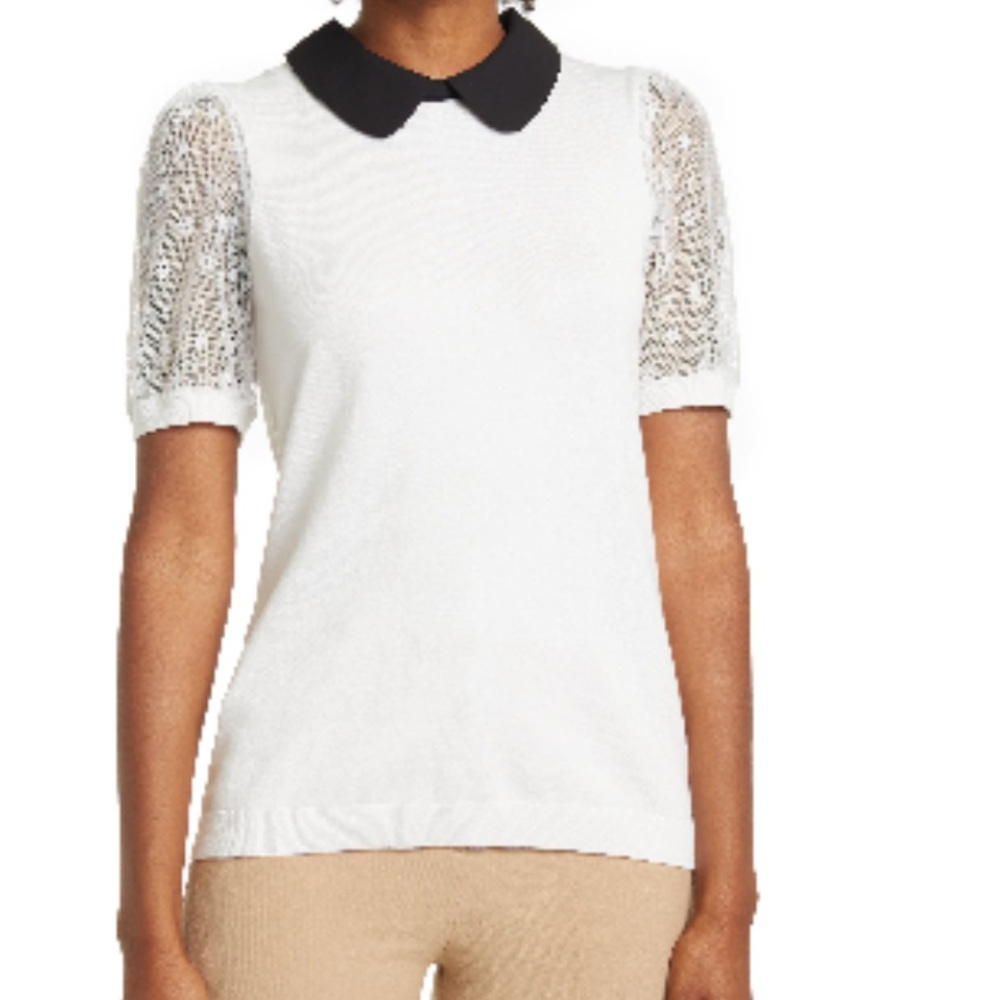 Adrianna Papell Mesh Puff Sleeve Swester with Peter Pan Black Collar